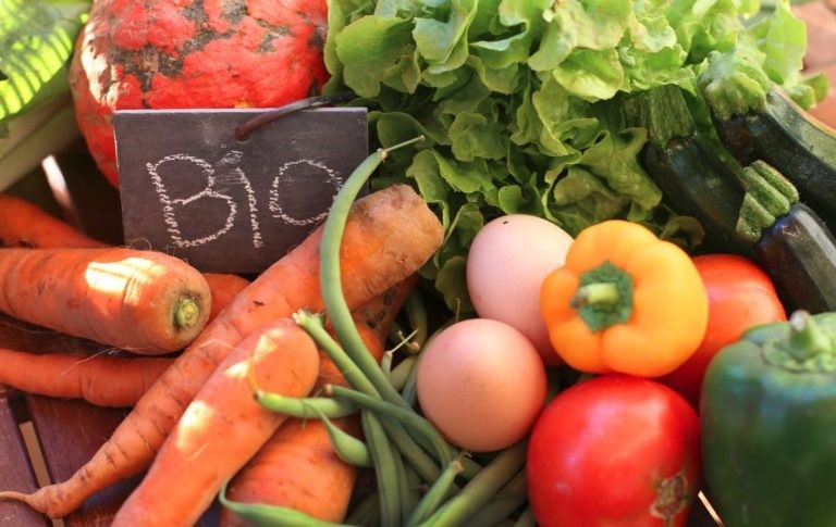 Il biologico nutrirà il pianeta? Cibo per molti o per pochi? Riflessioni del Dott. Enzo De Ambrogio