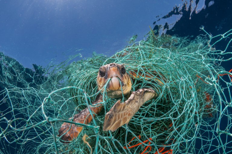 Planet or Plastic? In mostra le foto shock di National Geographic